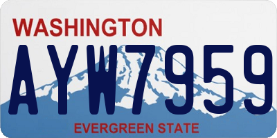 WA license plate AYW7959