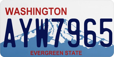 WA license plate AYW7965