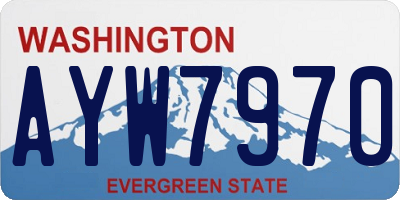 WA license plate AYW7970