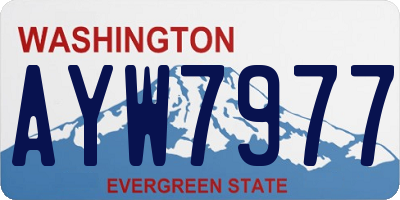 WA license plate AYW7977