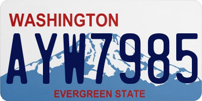 WA license plate AYW7985