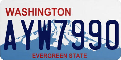 WA license plate AYW7990