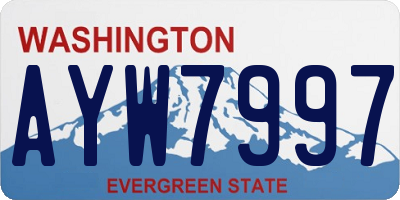 WA license plate AYW7997
