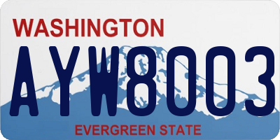 WA license plate AYW8003