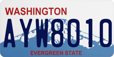 WA license plate AYW8010