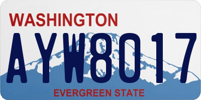 WA license plate AYW8017