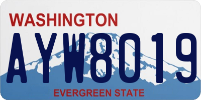 WA license plate AYW8019