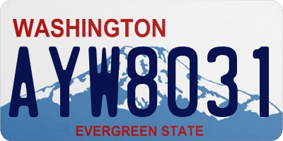 WA license plate AYW8031