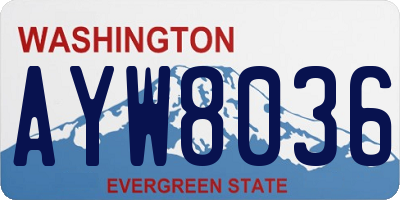 WA license plate AYW8036