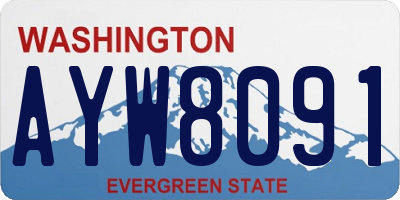 WA license plate AYW8091