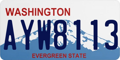 WA license plate AYW8113