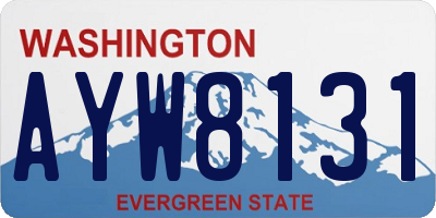 WA license plate AYW8131