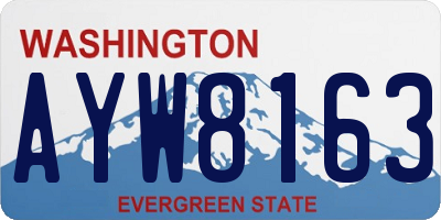 WA license plate AYW8163