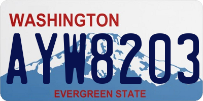 WA license plate AYW8203