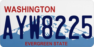 WA license plate AYW8225