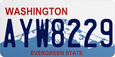 WA license plate AYW8229