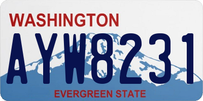 WA license plate AYW8231