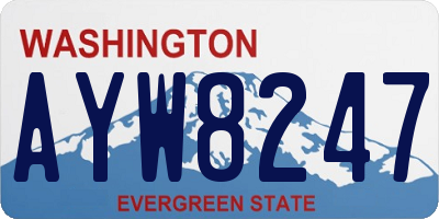 WA license plate AYW8247