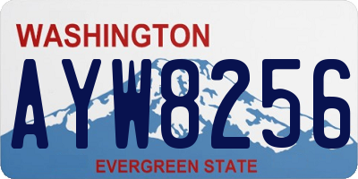 WA license plate AYW8256