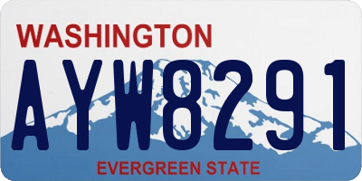 WA license plate AYW8291