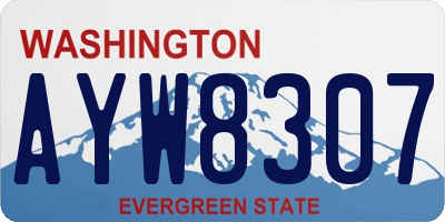 WA license plate AYW8307