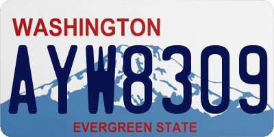 WA license plate AYW8309