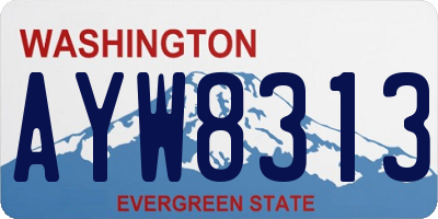 WA license plate AYW8313