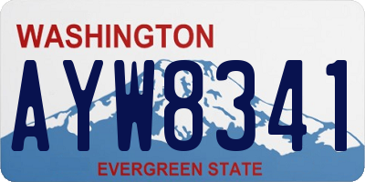 WA license plate AYW8341