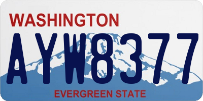 WA license plate AYW8377