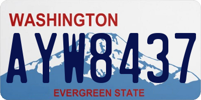 WA license plate AYW8437