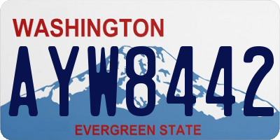 WA license plate AYW8442