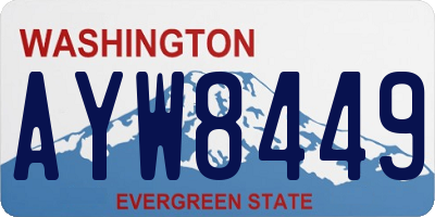 WA license plate AYW8449