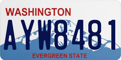 WA license plate AYW8481