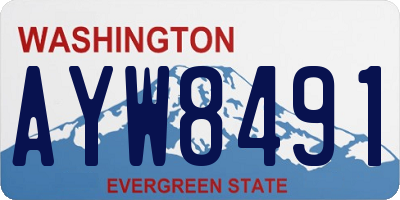 WA license plate AYW8491