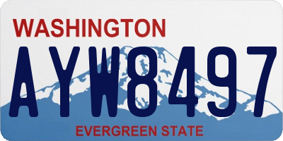 WA license plate AYW8497