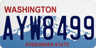 WA license plate AYW8499