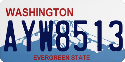 WA license plate AYW8513