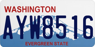 WA license plate AYW8516