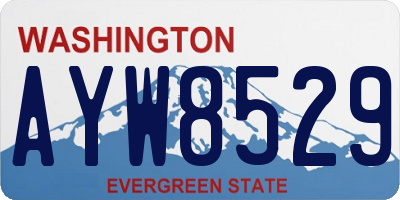 WA license plate AYW8529