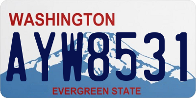 WA license plate AYW8531