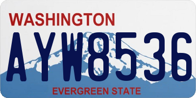 WA license plate AYW8536