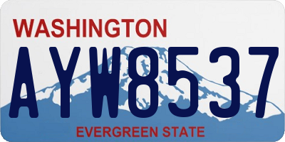 WA license plate AYW8537