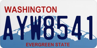 WA license plate AYW8541