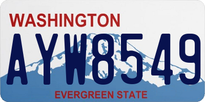 WA license plate AYW8549