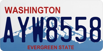 WA license plate AYW8558