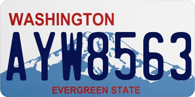 WA license plate AYW8563