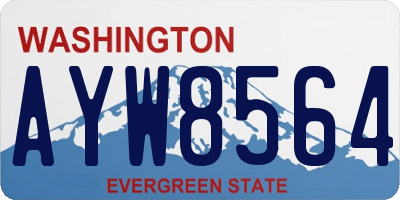 WA license plate AYW8564