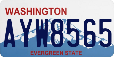 WA license plate AYW8565