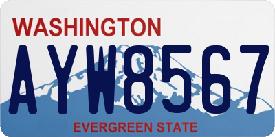 WA license plate AYW8567