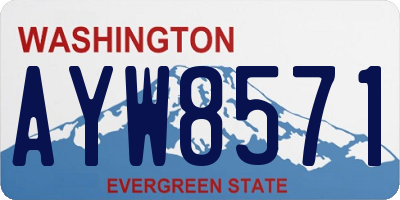 WA license plate AYW8571